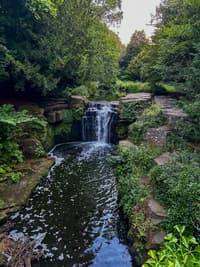 Jesmond Dene