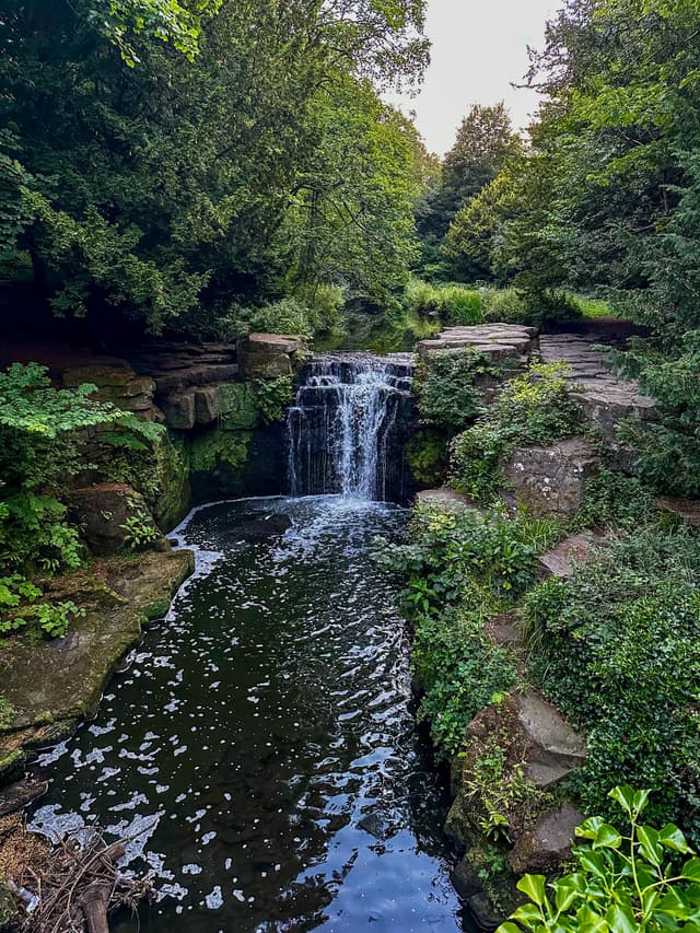 Jesmond Dene