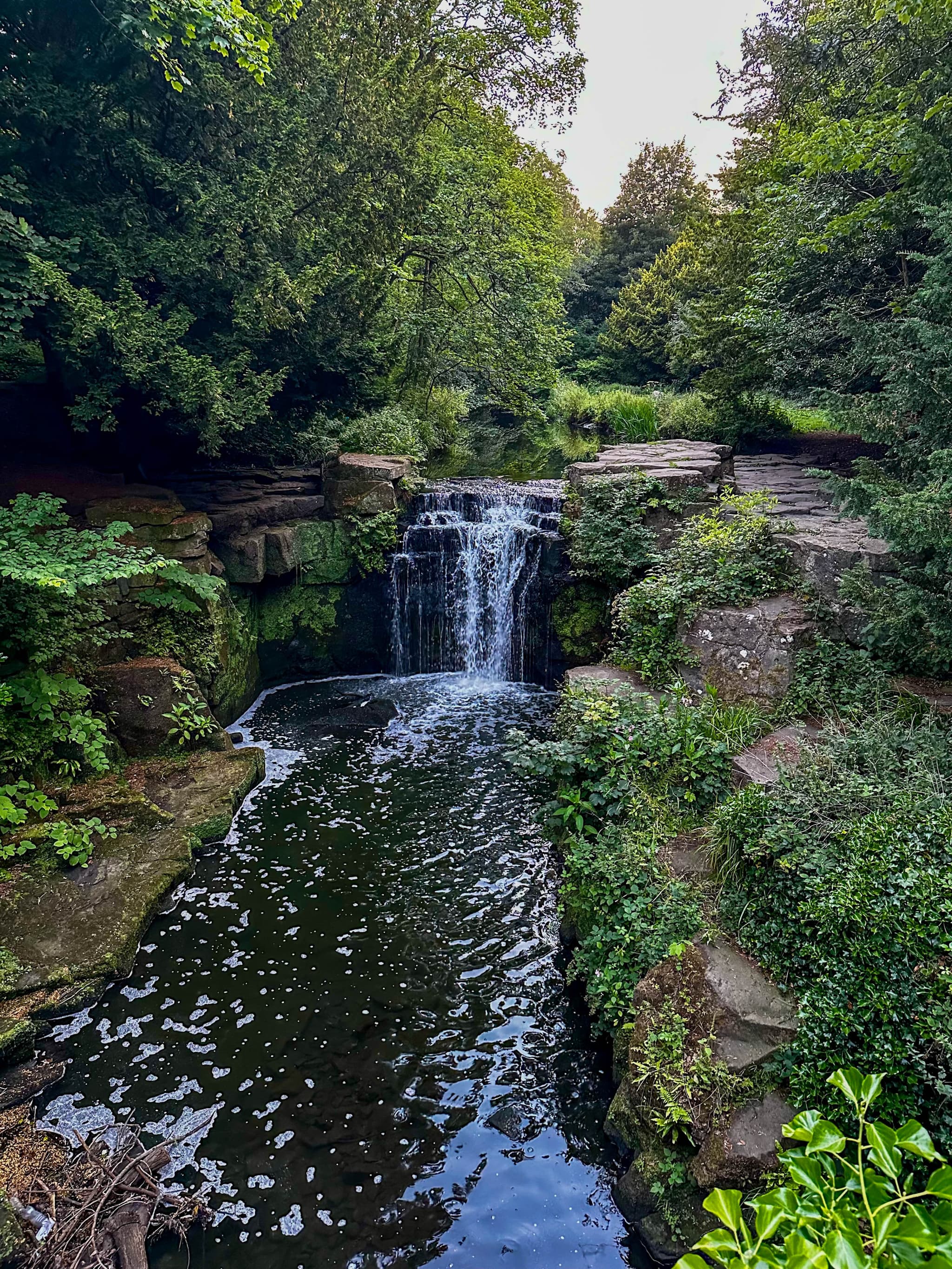 Jesmond Dene